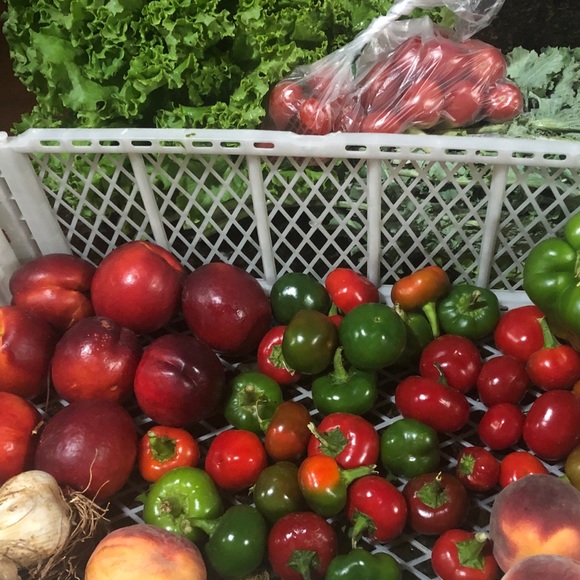 Meet your Posher, Chrissy - Picture 1 of 1